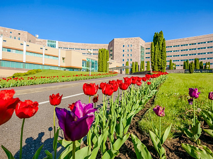 Санаторий «Заря», Кисловодск. Территория